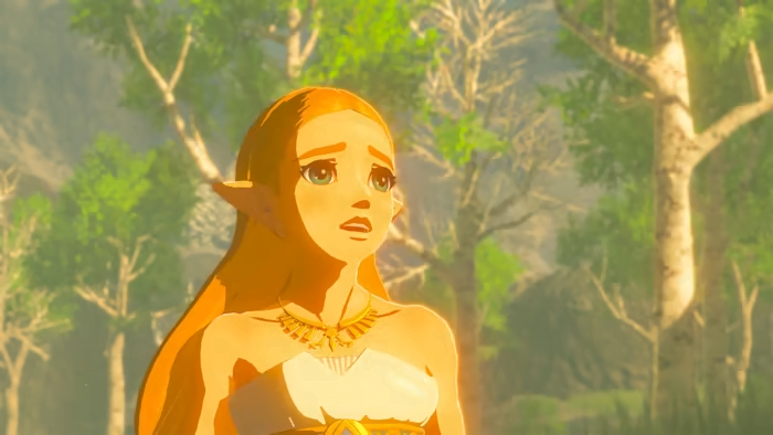 The Legend of Zelda: Breath of the Wild  2