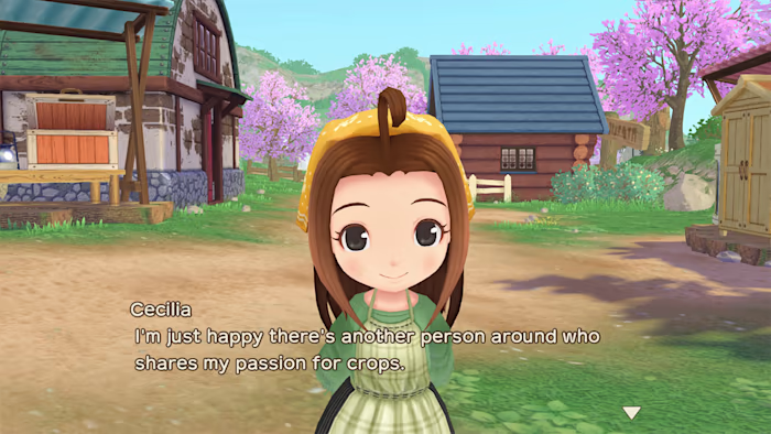 STORY OF SEASONS: A Wonderful Life 3