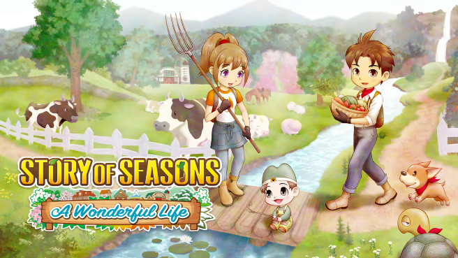 STORY OF SEASONS: A Wonderful Life cover